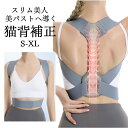 \本日限定 10%OFF/姿勢サポーター 姿勢ベルト 猫背矯正ベルト 薄手 子供 目立たない 猫背 巻き肩 補正 背中の丸まり ベルト 背筋サポーター 矯正ベル...