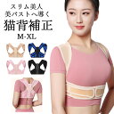 \本日限定 10%OFF/姿勢サポーター 姿勢ベルト 猫背矯正ベルト 薄手 子供 目立たない 猫背 巻き肩 補正 背中の丸まり ベルト 背筋サポーター 矯正ベル...