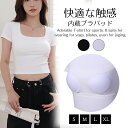 \24h限定:P5+10%OFF/パッド付き カップ付き 半袖 ストレッチ ブラトップ カップ付きインナー プラスサイズ 無地 インナー 半袖 Tシャツ 締め付...