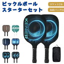 ピックルボール パドル セット 軽量 ラケット×2個 ボール×4個 収納バッグ付き 初心者 家族 カップル アウトドア レジャー スポーツ トレーニング フィットネス 耐久性 練習用