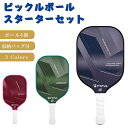 ピックルボール パドル セット 軽量 ラケット×2個 ボール×4個 収納バッグ付き 初心者 家族 カップル アウトドア レジャー スポーツ トレーニング フィットネス 耐久性 練習用