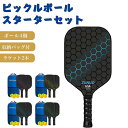 ピックルボール パドル セット 軽量 ラケット×2個 ボール×4個 収納バッグ付き 初心者 家族 カップル アウトドア レジャー スポーツ トレーニング フィットネス 耐久性 練習用