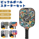 ピックルボール パドル セット 軽量 ラケット×2個 ボール×4個 収納バッグ付き 初心者 家族 カップル アウトドア レジャー スポーツ トレーニング フィットネス 耐久性 練習用