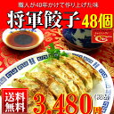 将軍餃子(48個) 冷凍食品 父の日 お中元 御中元 ギフト 中華 中華惣菜 食品 お取り寄せグルメ 中華料理 点心 人気 セット ぎょうざ ギョーザ お試し 送料無料 プレゼント あす楽 明日楽