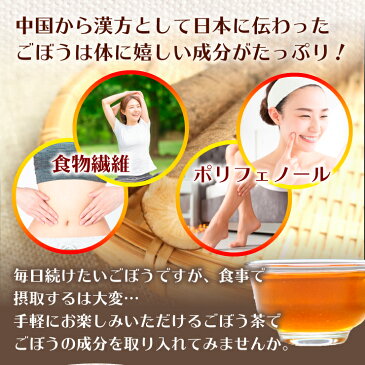 ごぼう茶 ティーバッグ 40包×6袋セット 水出し 無漂白 ティーパック 食物繊維 農薬検査済み ポリフェノール ゴボウ茶 牛蒡 ダイエット茶 ダイエットティー マイボトル お茶 お中元 御中元 2021