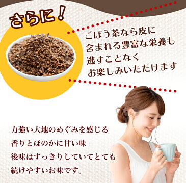 ごぼう茶 ティーバッグ 40包×6袋セット 水出し 無漂白 ティーパック 食物繊維 農薬検査済み ポリフェノール ゴボウ茶 牛蒡 ダイエット茶 ダイエットティー マイボトル お茶 お中元 御中元 2021