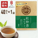 【マラソンセール500円ポッキリ!賞味期限2025/9/19】杜仲茶 1.5g×40包(40包×1袋) ノンカフェイン コレステロール値改善 便通改善 アンチエ...