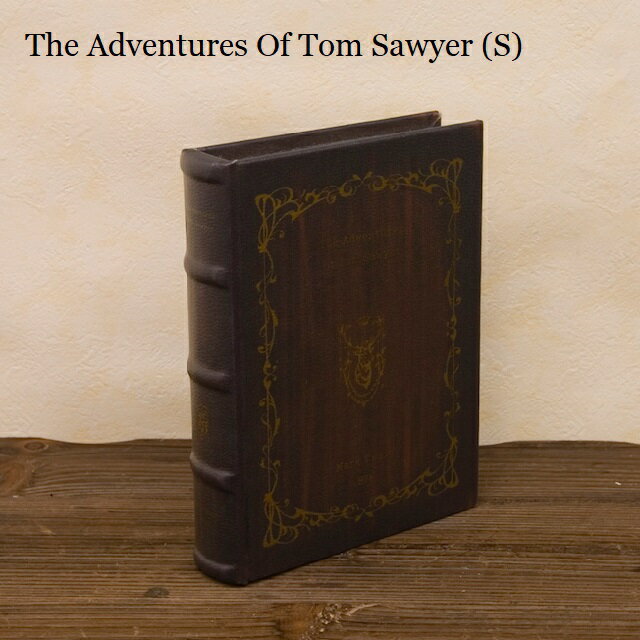 シークレットボックス 【Tom Sawyer(S)】 洋書型小物入れアンティーク調インテリア雑貨 ステルス