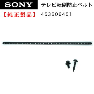 SONY  ֥ӥ ƥžɻߥ٥ 50cm 453506452