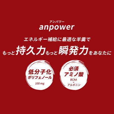 トライアスロン 補給食 鼓月 anpower アンパワー 1本 ばら売り スポーツようかん マラソン ロードバイク ロングライ 長時間 スポーツ エネルギー補給 トレイルランニング 行動食 京菓子 菓子 小豆 登山 水泳 京都 羊羹