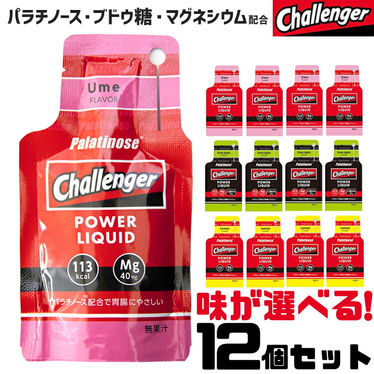 味が選べる12個セット Challenger チャレンジャー 補給食 行動食 エナジー ジェル セット スポーツ ゼリー エネルギー パラチノース マグネシウム カフェイン ゼリー飲料 エネルギー補給 スポーツゼリー 糖質 ブドウ糖 クエン酸 スポーツ飲料 POWER LIQUID