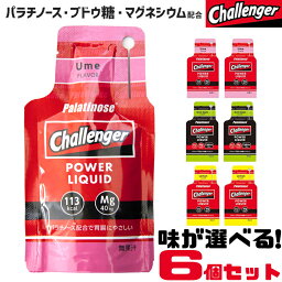 味が選べる6個セット Challenger チャレンジャー 補給食 行動食 エナジー ジェル セット スポーツ ゼリー エネルギー パラチノース マグネシウム カフェイン ゼリー飲料 エネルギー補給ゼリー スポーツゼリー 糖質 ブドウ糖 クエン酸 スポーツ飲料 POWER LIQUID