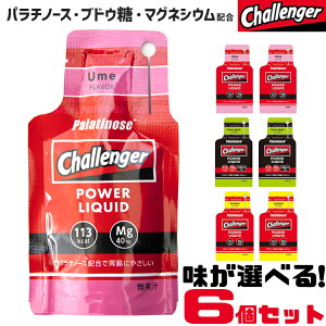 【送料無料】 味が選べる6個セット Challenger チャレンジャー 補給食 行動食 エナジー ジェル セット スポーツ ゼリー エネルギー パラチノース マグネシウム カフェイン ゼリー飲料 エネルギー補給ゼリー スポーツゼリー 糖質 ブドウ糖 クエン酸 スポーツ飲料 POWER LIQUID