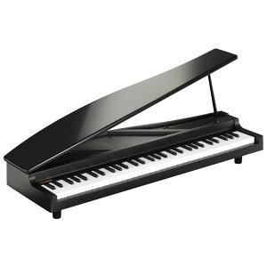 CDŵաۥ륰 ޥԥΡ֥åڤڡۥߥ˥ԥ ԥ  KORG microPIANO ǥԥ 61  ؽ ؽ  Ļ Ҷ  ꥹޥץ쥼 лˤ