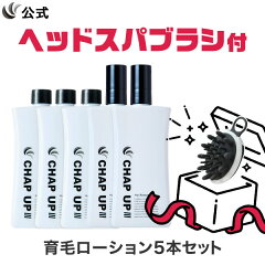https://thumbnail.image.rakuten.co.jp/@0_mall/chap-up/cabinet/novelty/lo5-brush_nano.jpg