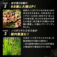 初回返金保証書付送料無料公式チャップアップCHAPUPサプリメント5袋セット育毛剤育毛ローション男性用男女性用発毛促進養毛育毛薄毛対策薄毛抜け毛対策サプリ育毛ノコギリヤシ