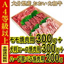 お肉 大分県産 おおいた和牛 モモ焼肉用 300g + 大判ロース焼肉用 300g + 国産ハーブ 豚バラ 焼肉用 200g ≪ 全国どこでも送料無料 ≫【 産...
