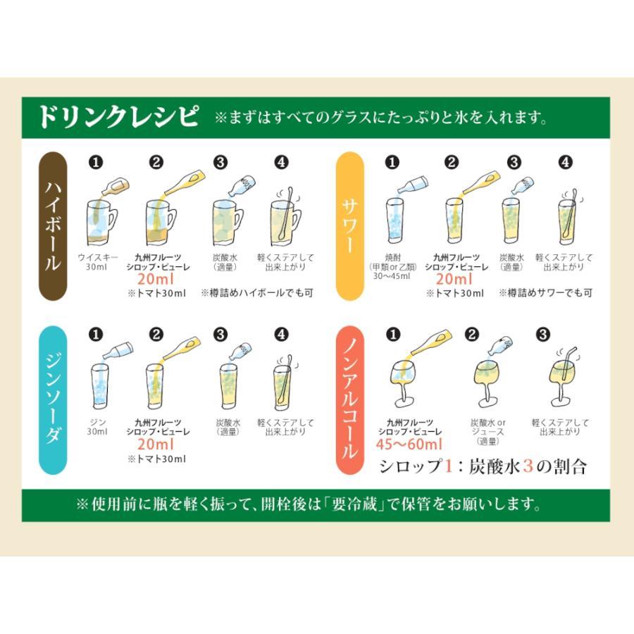 酒のチャップリン楽天市場店のシロップ 割り材 福田農場 九州 果実シロップ あまおう 500ml 希釈タイプ 【 条件付き送料無料 】｜アングル2