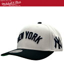 【限定セール】Mitchell & Ness ミッチェル&ネス MLB Off Word Pro キャップ New York Yankees ニューヨーク ヤン...