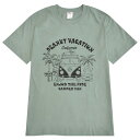 メンズ プリント Tシャツ メンズ 夏 服 アメリカ 綿 100% メール便 USA コットン お揃い ユニセックス Lカーキ ピンクベージュ