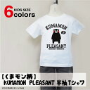 y܃zKUMAMON PLEASANT TVc (LbY)yCVTz