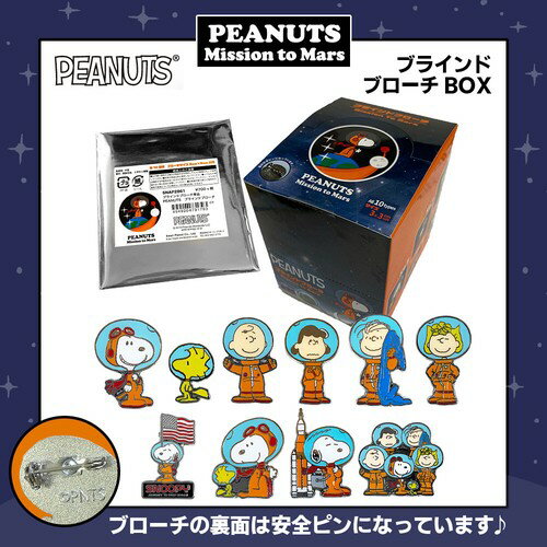 スヌーピー ブラインドブローチ 全10種類コンプリートBOX PEANUTS/推し活/コレクター/バッチ/プレゼント