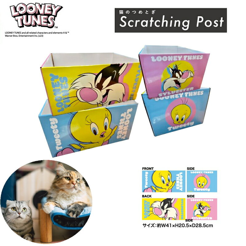 ルーニー・テューンズ 猫 爪研ぎ パステル/ルーニー/ねこ/猫の日/cat/ダンボール/つめとぎ