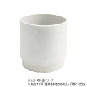 SKステップ ミルキー 18×18 3d00037ML