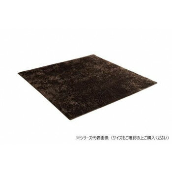 ラグ 制菌加工 約3畳 約200×250cm ホットカーペット対応 ブラウン 3985119