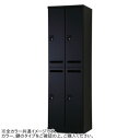 豊國工業 メール開口タイプ可動棚式4人用2列2段 W525(内筒交換錠) RLK-TAKN4252-BMB(3)