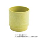 SKステップ 12xH12 ライム 3d00039LI
