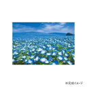 やのまん パズル 空つなぐ丘(茨城) 03-911(3)