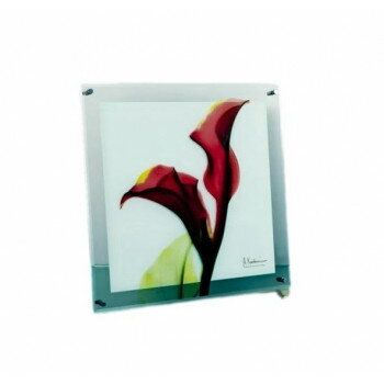X RAY ガラス アート「カラー レッド」 Mサイズ XR-05005 X RAY ガラス アート「カラー レッド」 Mサイズ XR-05005