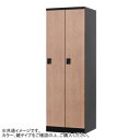 豊國工業 オール扉タイプ2人用 W600(内筒交換錠) RLK-TTN260-BNT