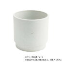 SKステップ 15.5xH15 ミルキー・3d00036ML