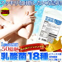 メガ盛り★乳酸菌サプリメントどっさり約4ヶ月分 120粒【P2B】【RS】