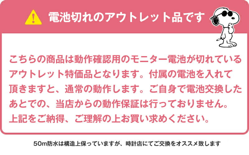 残り僅か【半額以下!1000円ポッキリ】【黒箱...の紹介画像2