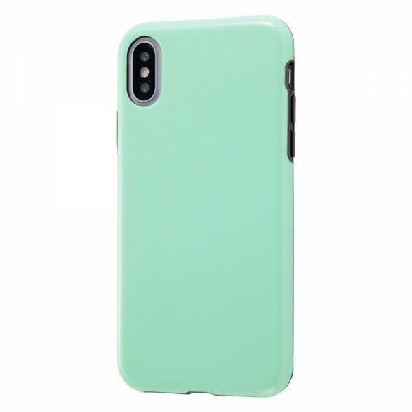 CEAEg iPhoneXS (5.8C`) CEAEg iPhoneX p TPU\tgP[X ϏՌLight Pastel y[O[@RT-P20CP2/PG