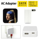 (5/9 20:00〜5/16 01:59 15%OFFクーポン配布) 『真珠の耳飾りの少女』・フェルメール ACアダプタ USB Type-C Type-A ...