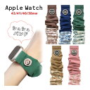 ポケットモンスター Apple Watch 42mm 41mm 40mm 38mm シュシュバンド 着せ替え イーブイ ポッチャマ ニャオハ パモ ミュウ ベル...