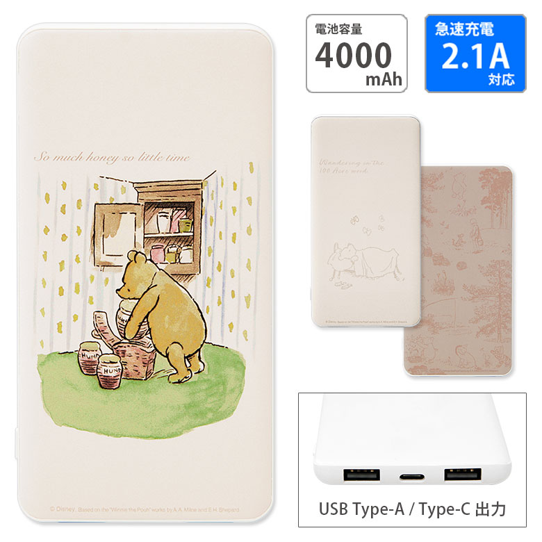 【PSE適合品】ディズニーキャラクター USB Cポート A