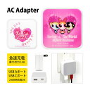 (7/4 20:00-7/11 01:59 15%OFFクーポン) パワーパフガールズ USB タイプA タイプC AC アダプタ コンセント 2台同時充電可能...