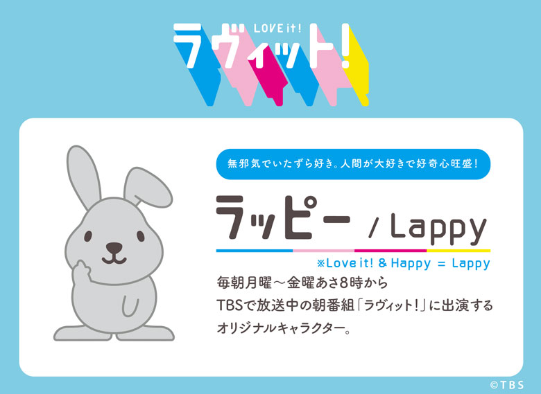 ラヴィット！ ガジェットポーチ SS ラッピー フェイス カラビナ付き シンプル ハードケース 手のひらサイズ ミニポーチ 丈夫 EVA素材 キャラクター グッズ 雑貨 ファスナー ポーチ かわいい おしゃれ 小物入れ charasma-10028650 キャラスマ サンプル画像2