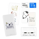 (5/9 20:00〜5/16 01:59 15%OFFクーポン配布) 【PSE適合品】ピーナッツ スヌーピー 急速充電 USB出力 Type-C スマホ充電器...