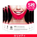 Avajar パーフェクト V リフティング プレミアムマス...