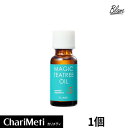 【P10倍】BLANC ブラン ネイチャー ネイチャー マジックティーツリーオイル20ml / Blanc Nature Magic Teatree Oil / ティーツリー ニキビ 肌荒れ 鎮静 吹き出物 ブツブツ 皮脂ケア 角質ケア 男女共用 韓国コスメ 送料無料 (宅急便)