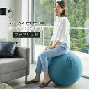 Vibora シーティングボール 65 cm ファブリック生地 洗える カバー ETC001552