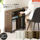 【組立品/完成品が選べる】 キャス