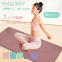 【お買い物マラソン期間中ポイントUP SALE開催中!】ヨガマット ス...(4)
