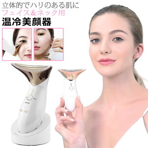 温冷美顔器 美顔器 L＆L SKIN リフトアップ 多機能 3in1 美顔器 フェイスケア セルフエステ 自宅 フェイシャル エステ 温冷ケア 肌ケア 浸透美容 美肌 家庭用 美容機器 顔 首 フェイス ネック 誕生日ギフト バレンタイン プレゼント